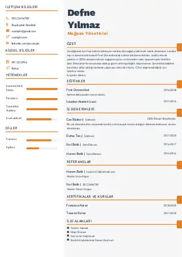cv indir